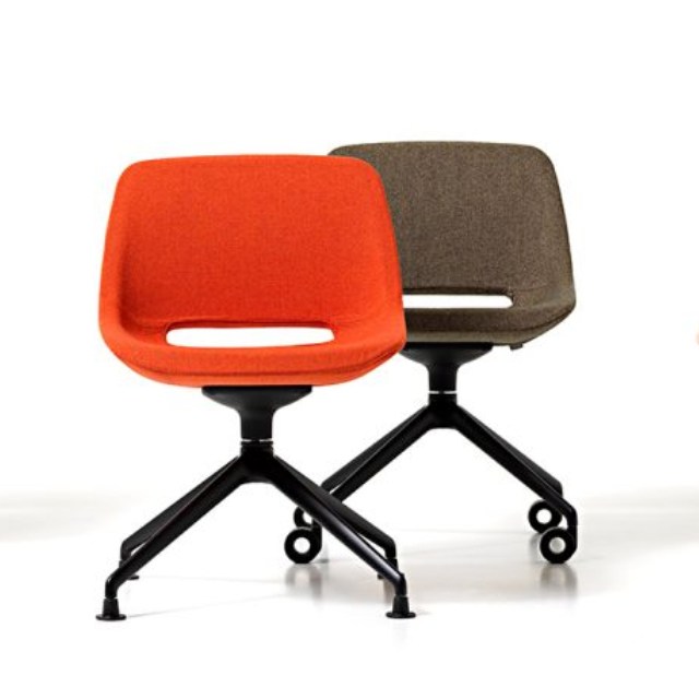 CLEA Visitor & Meeting chair